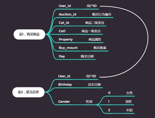 母婴电商产品案例,数据分析报告